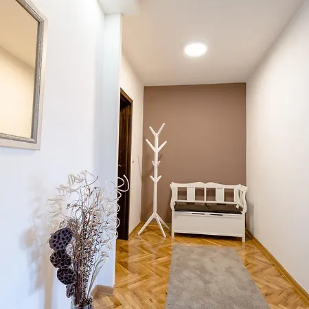 Arte Novi Sad